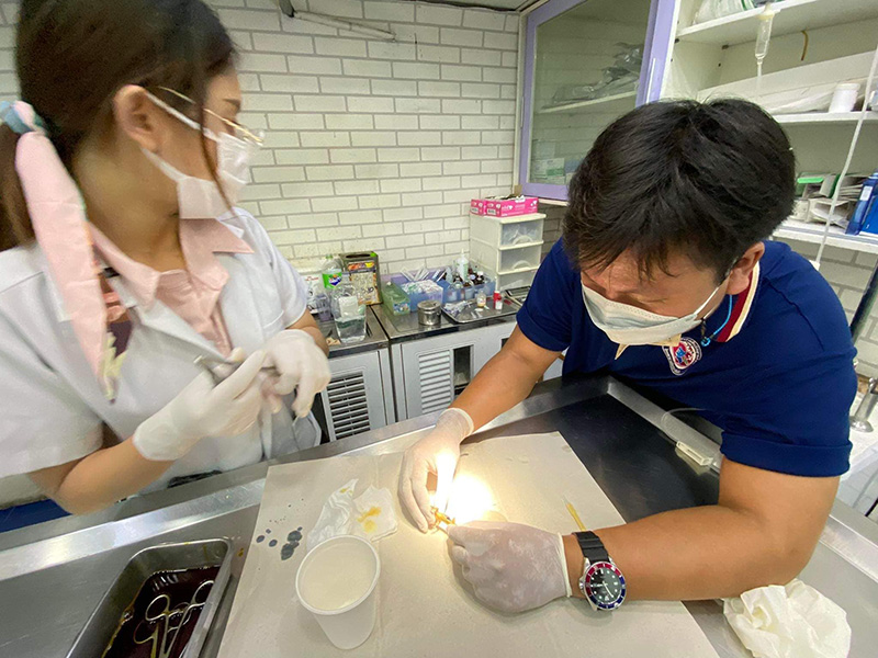 สาวช่วยชีวิตจิ้งจก พา น้องจีจี้ ไปหาหมอด่วน