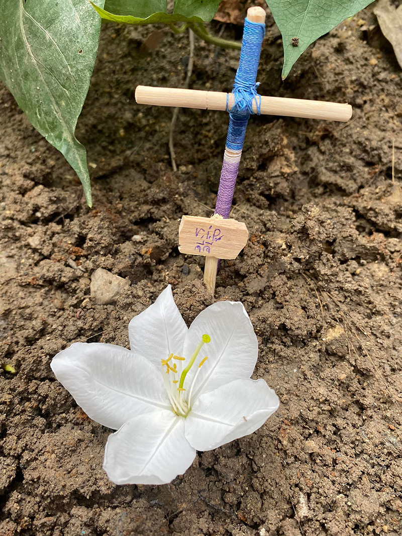 สาวช่วยชีวิตจิ้งจก พา น้องจีจี้ ไปหาหมอด่วน