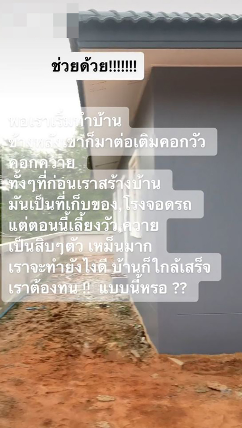 สร้างบ้านเกือบเสร็จ เจอเพื่อนบ้านเอาวัว-ควายมาเลี้ยง
