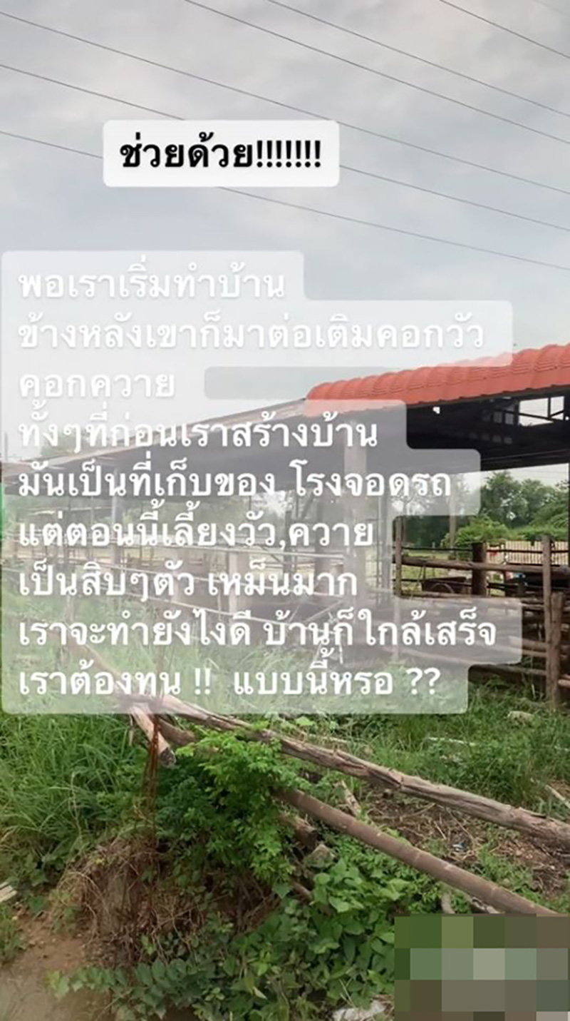 สร้างบ้านเกือบเสร็จ เจอเพื่อนบ้านเอาวัว-ควายมาเลี้ยง