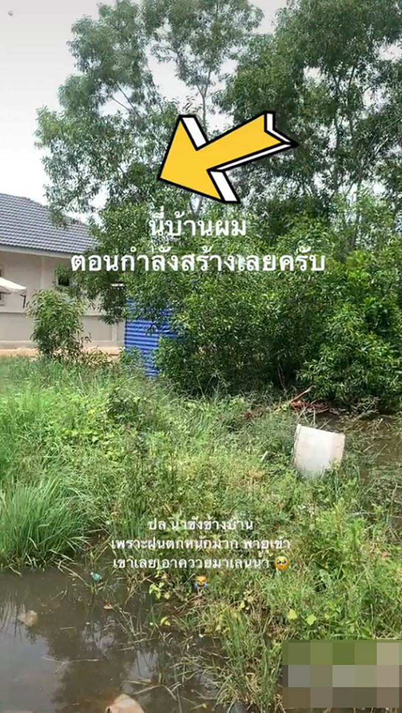 สร้างบ้านเกือบเสร็จ เจอเพื่อนบ้านเอาวัว-ควายมาเลี้ยง