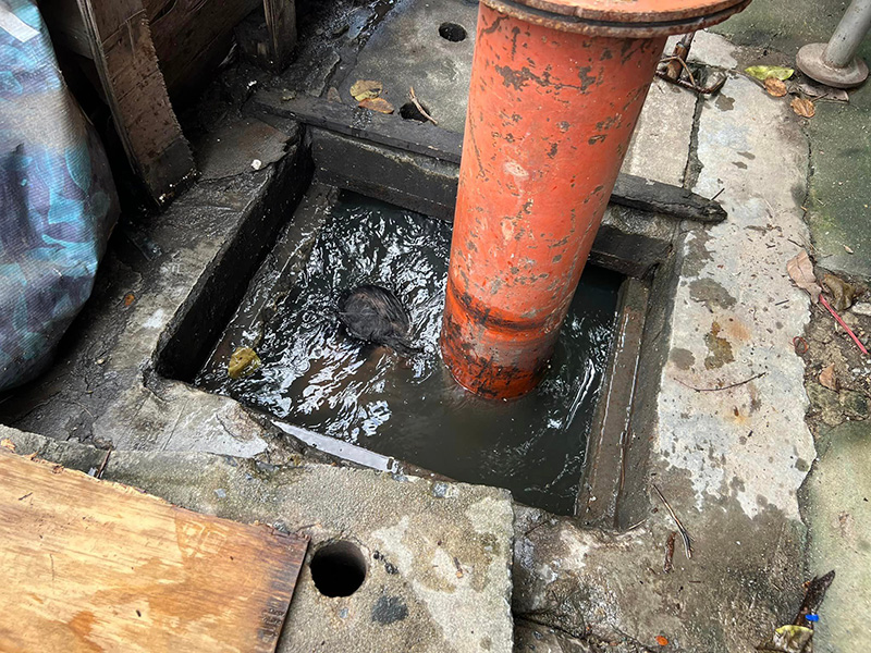 ฮีโร่ตัวจริง.. พี่บุญเรือง จนท.โยธา