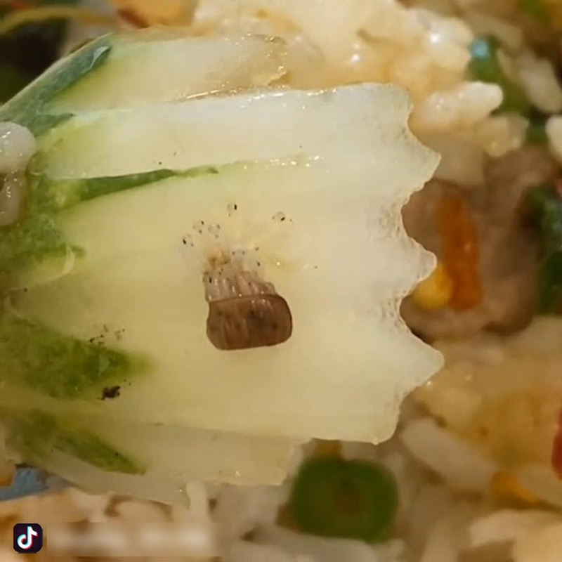 สั่งข้าวเห็นแตงกวามีเม็ดปริศนาสีน้ำตาล