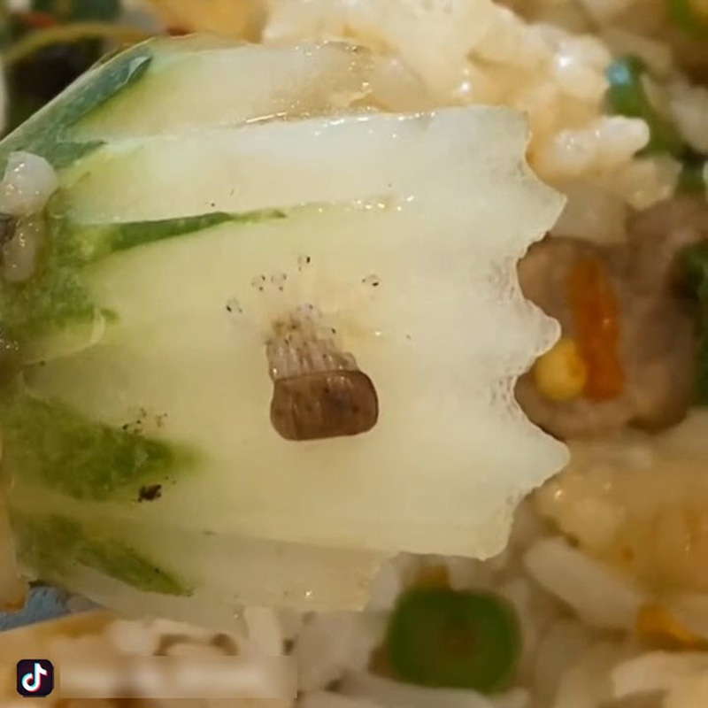 สั่งข้าวเห็นแตงกวามีเม็ดปริศนาสีน้ำตาล