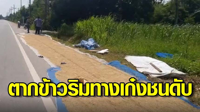 ตากข้าวริมถนน