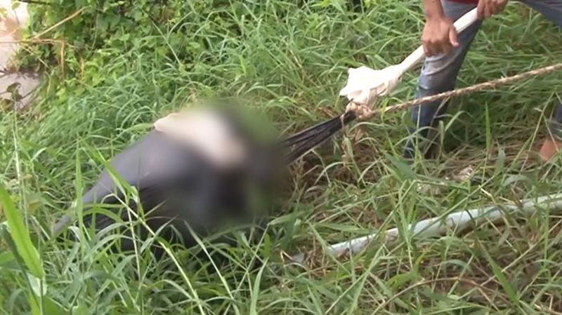 ศพถูกฆ่ายัดกระเป๋าคือไฮโซสาว