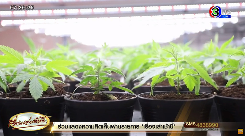 หนุ่ม 16 ทำร้ายแม่ คลั่งขอเงิน 400 แม่ไม่ให้