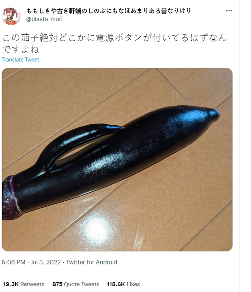 ไวรัลมะเขือม่วงญี่ปุ่น