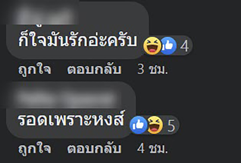 คอมเมนต์