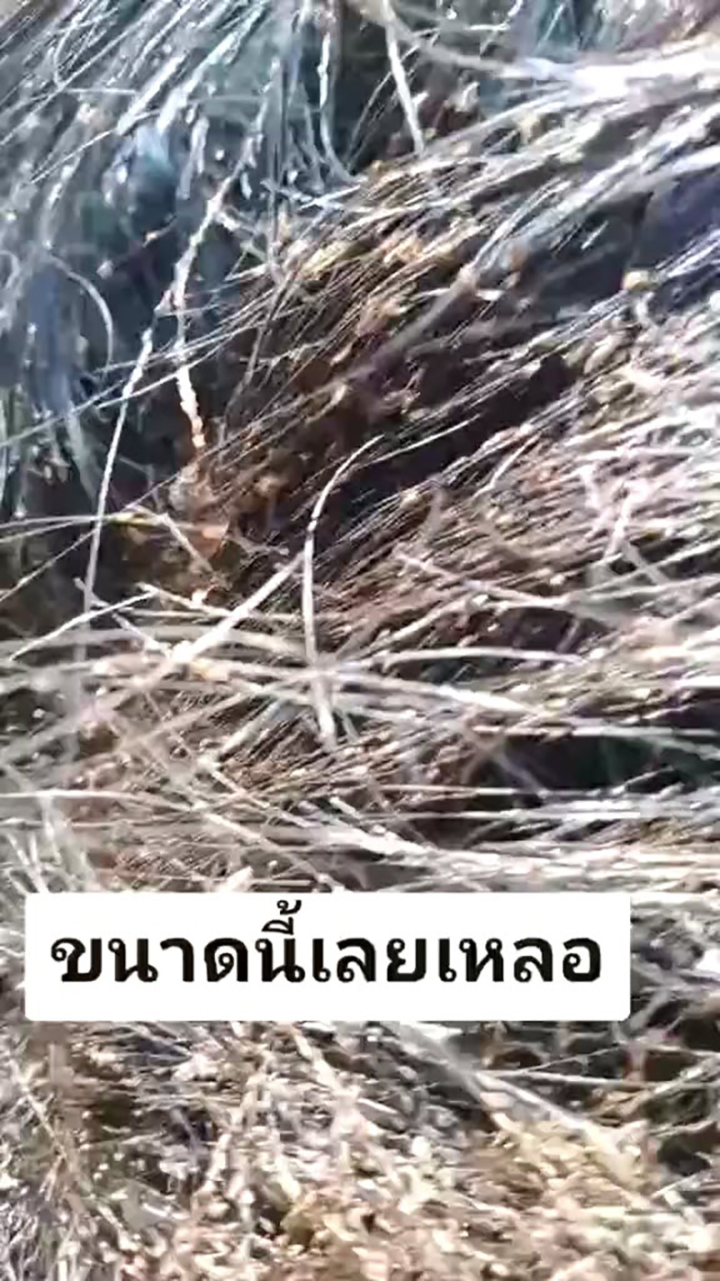 คอมเมนต์