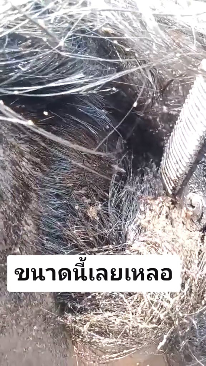 คอมเมนต์