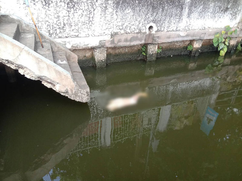 คดีสะเทือนขวัญ พบชิ้นส่วนมนุษย์กระจาย 4 จุด