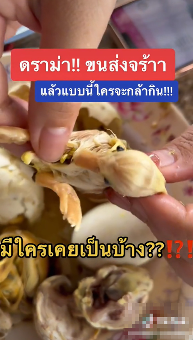 ไข่ลูกเป็ด