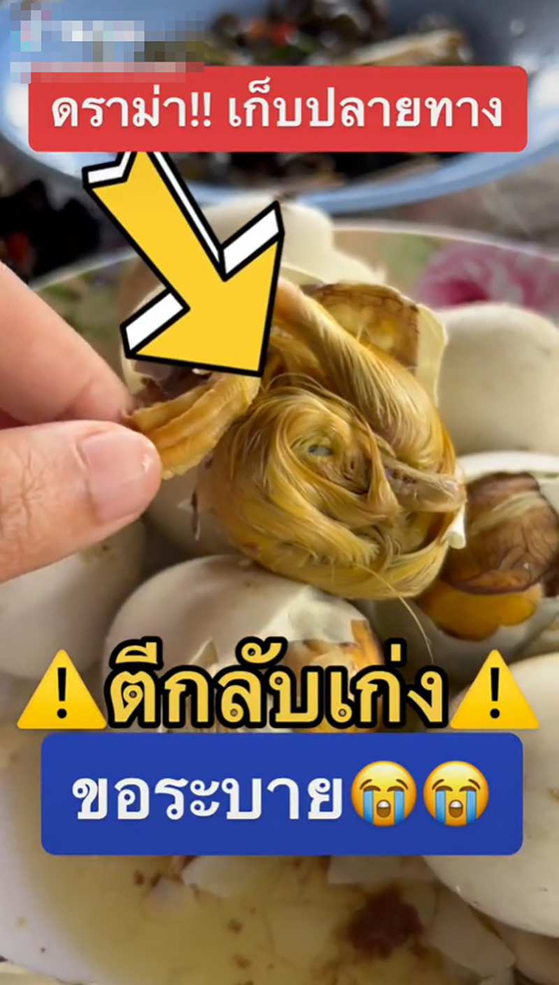 ไข่ลูกเป็ด