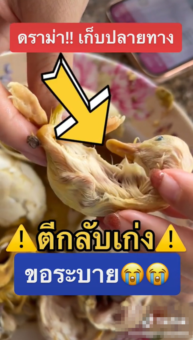 ไข่ลูกเป็ด