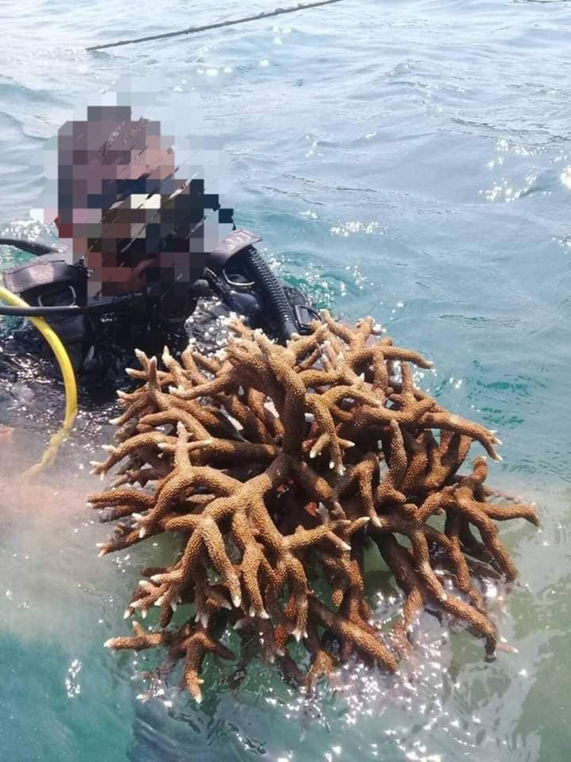 ฉะเละ ! CSR สุดพัง เอาปะการังจากทะเลมาหัก