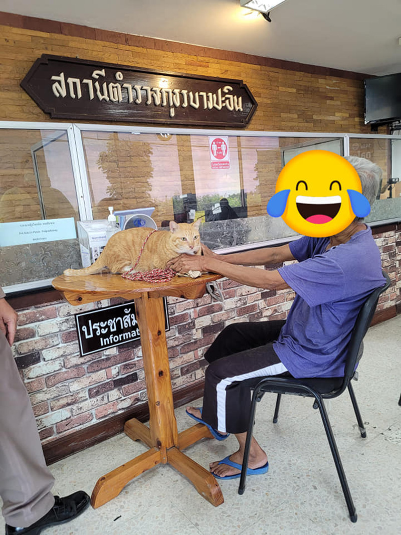 ยายอุ้มแมว