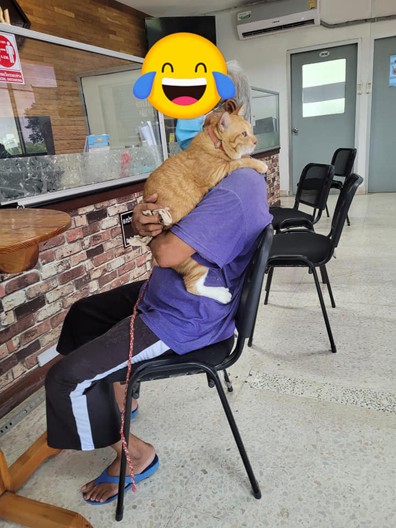 ยายอุ้มแมว