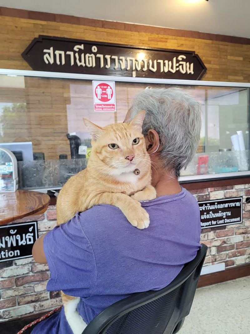 ยายอุ้มแมว