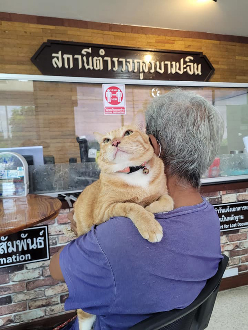 ยายอุ้มแมว