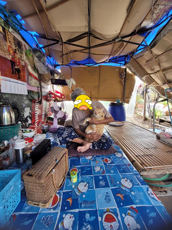 ยายอุ้มแมว