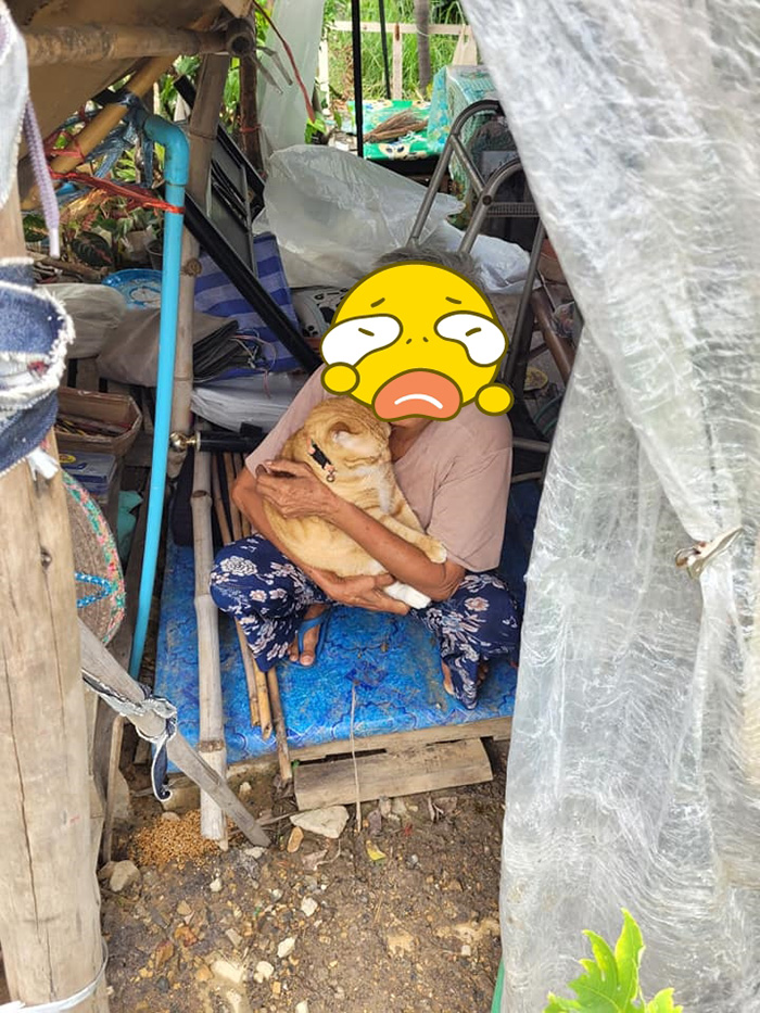 ยายอุ้มแมว