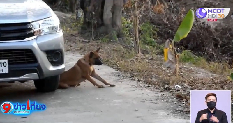 เจ้าน้ำตาล