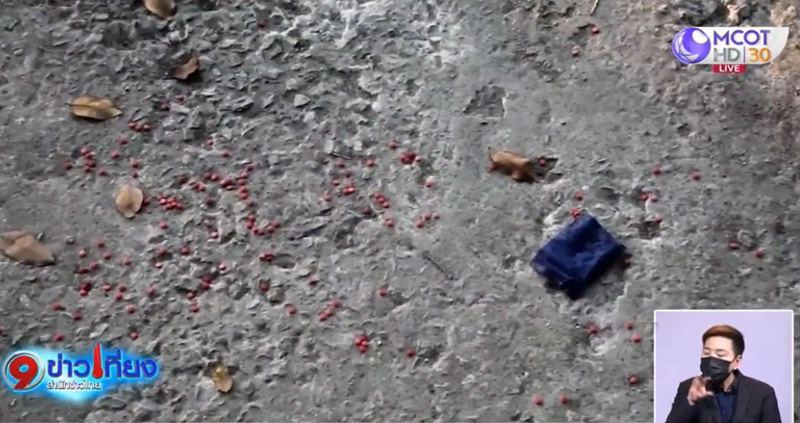 เจ้าน้ำตาล