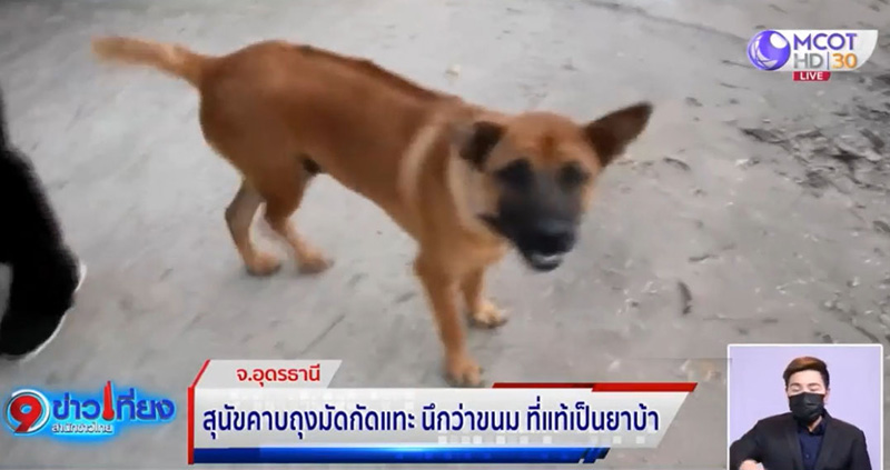 เจ้าน้ำตาล