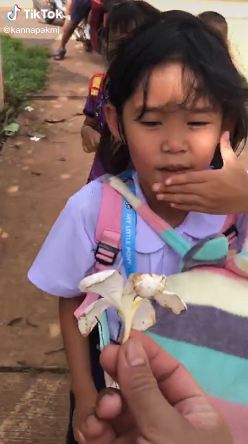 หนูน้อย 5 ขวบ พูดอังกฤษไฟแลบ