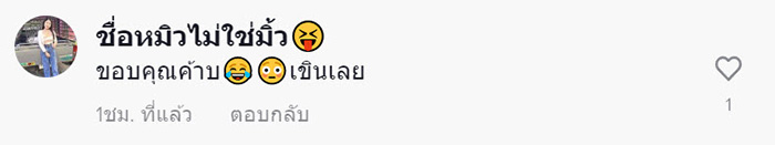 คอมเมนต์