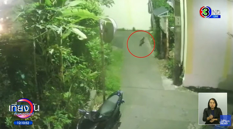 รปภ. หื่น ซุ่มทำร้ายหญิงหวังข่มขืน ชาวบ้านรู้รีบพากันล่าตัว