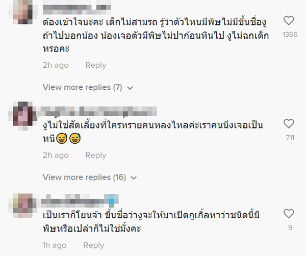 คอมเมนต์