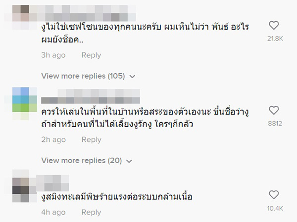 คอมเมนต์