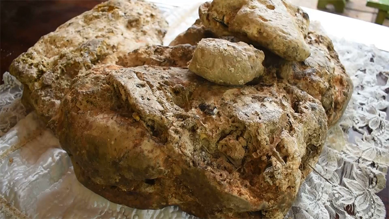 อ้วกวาฬ