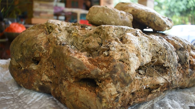 อ้วกวาฬ