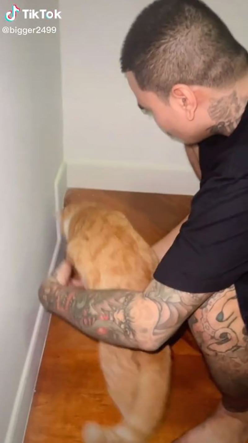 ไวรัลอะไรเข้าบ้าน ฟังตอนแรกนึกว่าพูดภาษาอินโดฯ