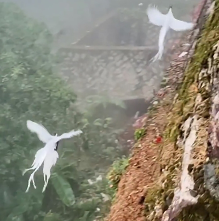 สัตว์ในตำนาน 