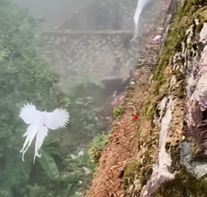 สัตว์ในตำนาน 