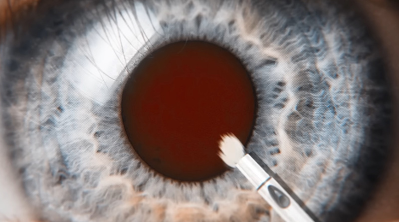 MrBeast ยูทูบเบอร์ ช่วยคนตาบอด 1000 คนทั่วโลก 