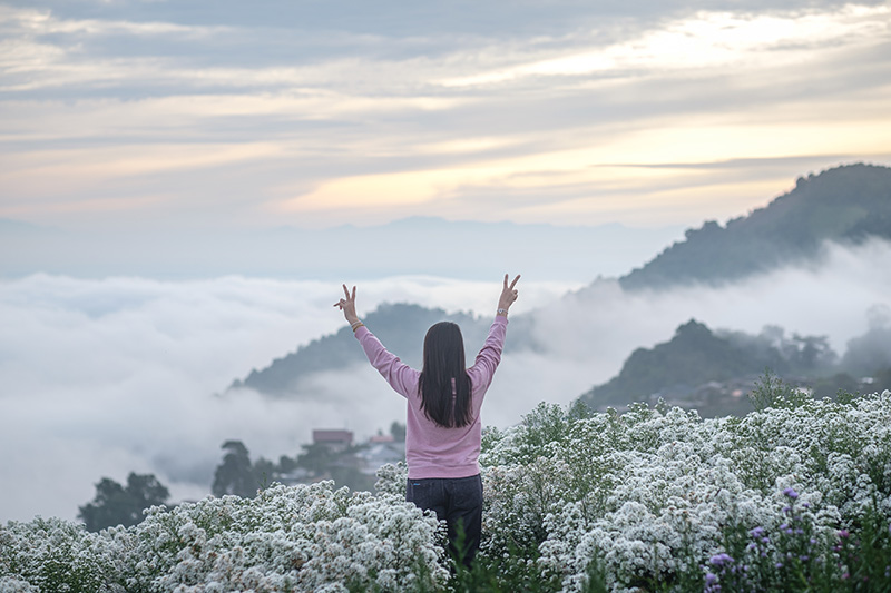 พยากรณ์อากาศ