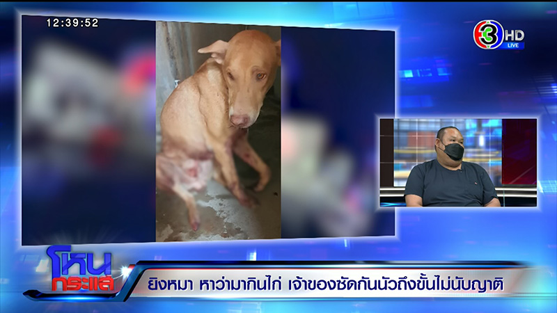 เจ้าของหมา VS ญาติ ซัดนัว อ้างหมากัดไก่ 50 ตัว