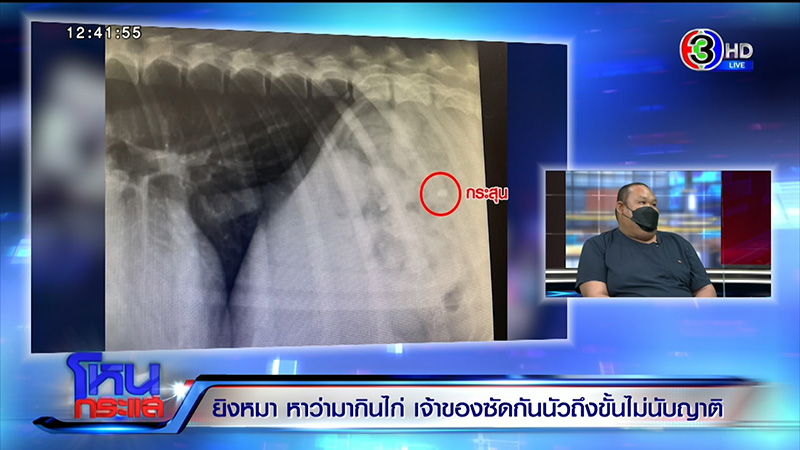 เจ้าของหมา VS ญาติ ซัดนัว อ้างหมากัดไก่ 50 ตัว