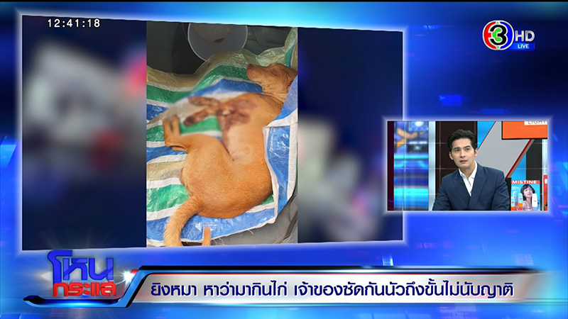 เจ้าของหมา VS ญาติ ซัดนัว อ้างหมากัดไก่ 50 ตัว