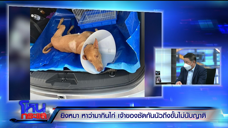 เจ้าของหมา VS ญาติ ซัดนัว อ้างหมากัดไก่ 50 ตัว