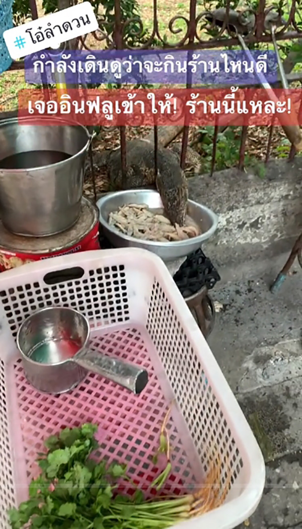 มิติใหม่ของการแนะนำของอร่อย น้อนตวัดลิ้นชิมลิ้มรสให้แล้ว  