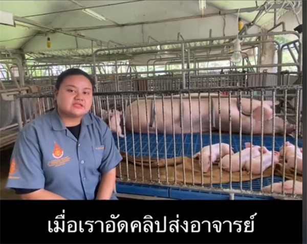 สาวอัดคลิปพรีเซนต์งานอาจารย์ มีแต่คนโฟกัสข้างหลัง สถานการณ์คุกรุ่น 