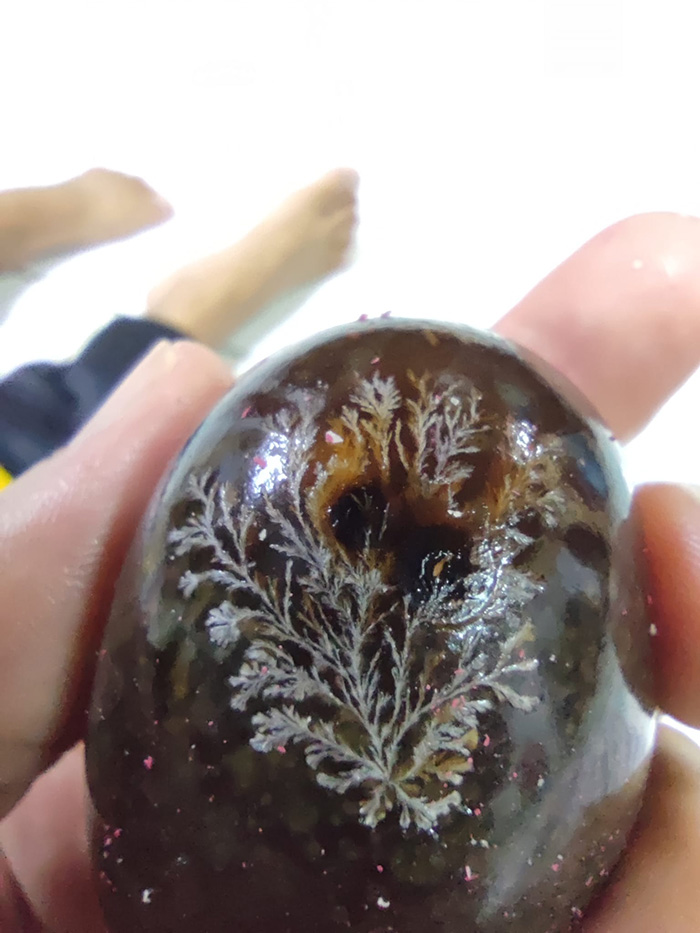 ปอกไข่เยี่ยวม้า