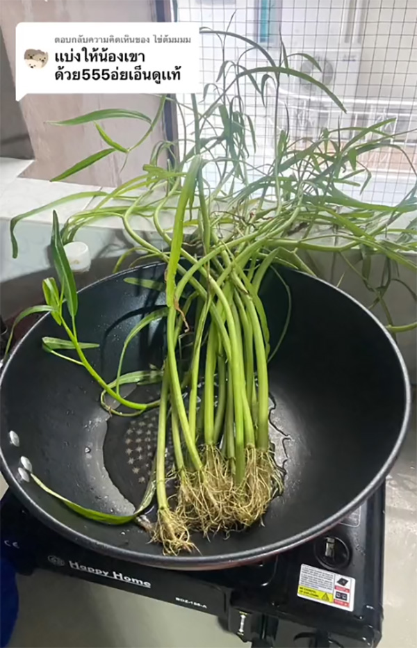 ห้องข้างบนทำผักบุ้งหล่นลงมา เกิดเป็นโมเมนต์อบอุ่นหัวใจ