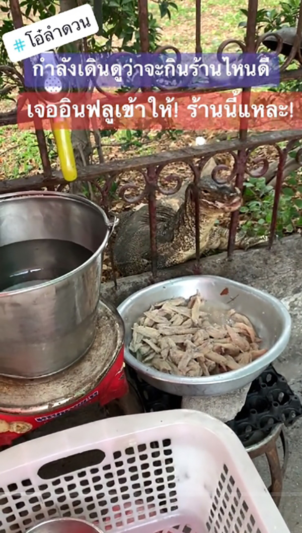 มิติใหม่ของการแนะนำของอร่อย น้อนตวัดลิ้นชิมลิ้มรสให้แล้ว  